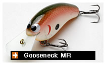 Gooseneck MR